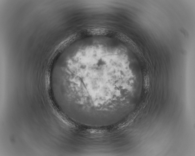 X0000110950733200907101307