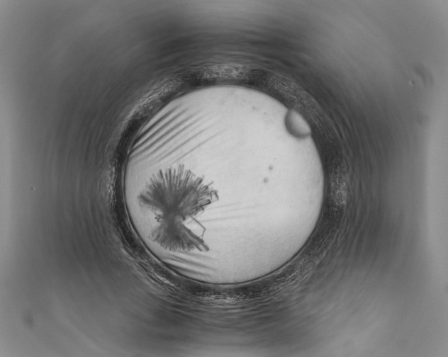 X0000110950735200907101307