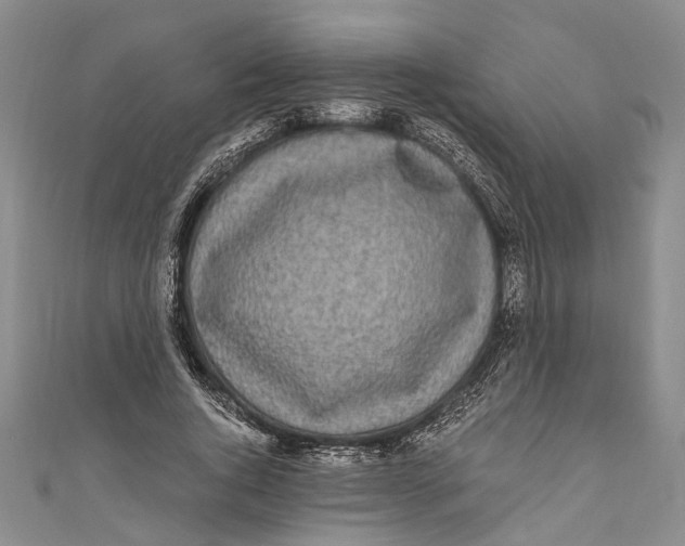 X0000110950736200907101307