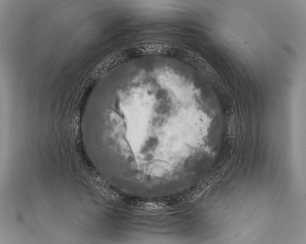 X0000110950737200907101307