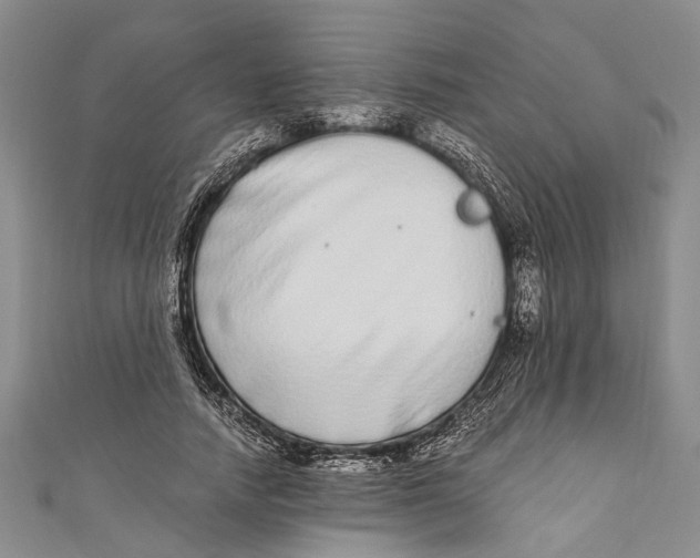 X0000110950738200907101307