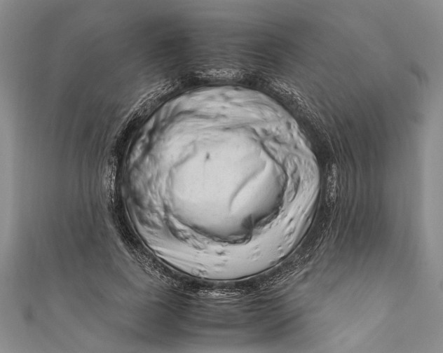 X0000110950739200907101307