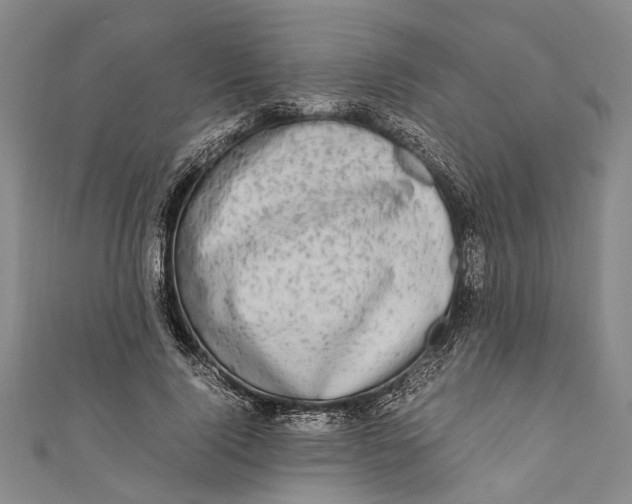 X0000110950740200907101307