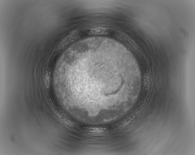 X0000110950741200907101307