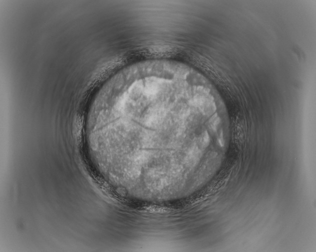 X0000110950742200907101307