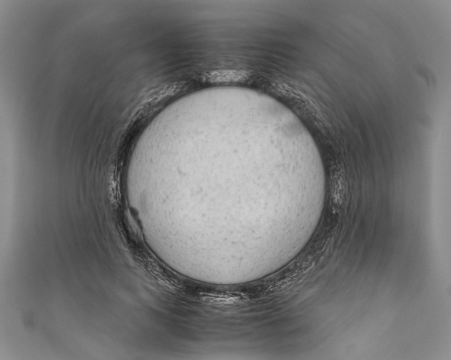 X0000110950743200907101307