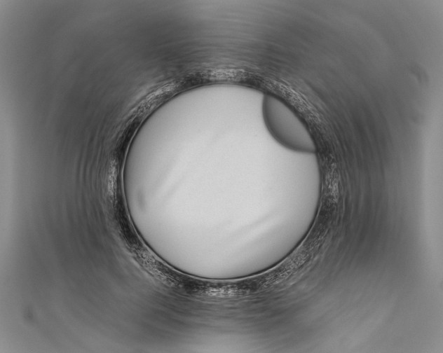 X0000110950744200907101307