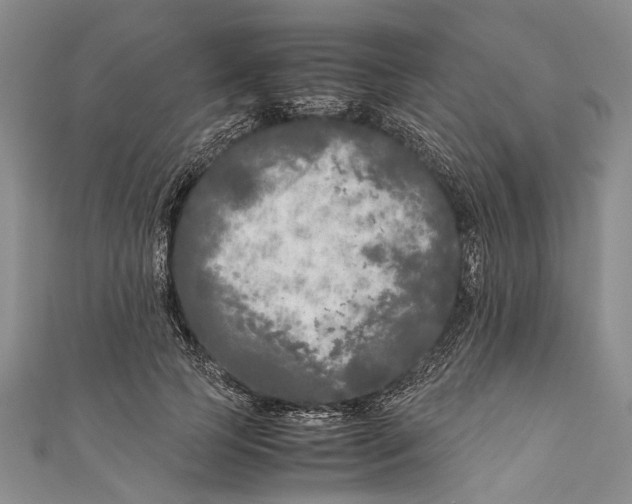 X0000110950745200907101307