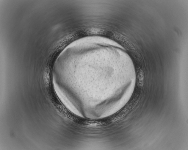 X0000110950746200907101307