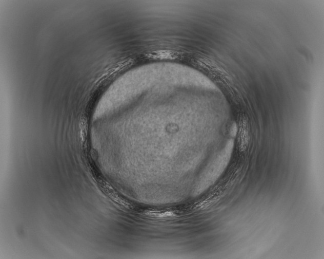 X0000110950747200907101307