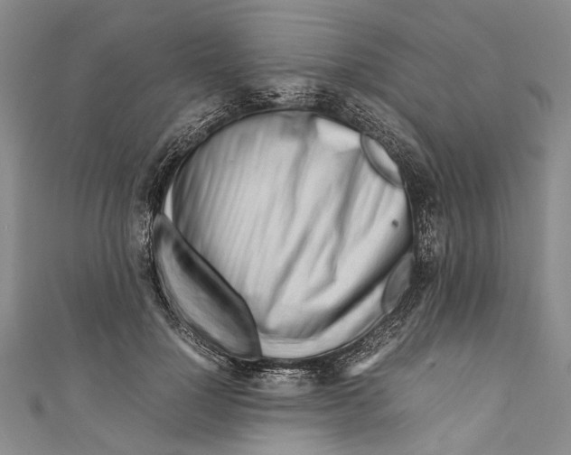 X0000110950748200907101307