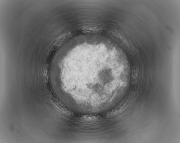 X0000110950749200907101307