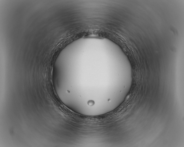 X0000110950750200907101307