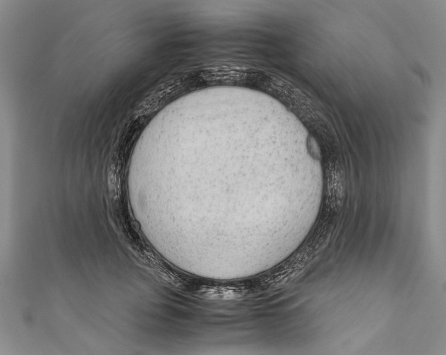 X0000110950751200907101307