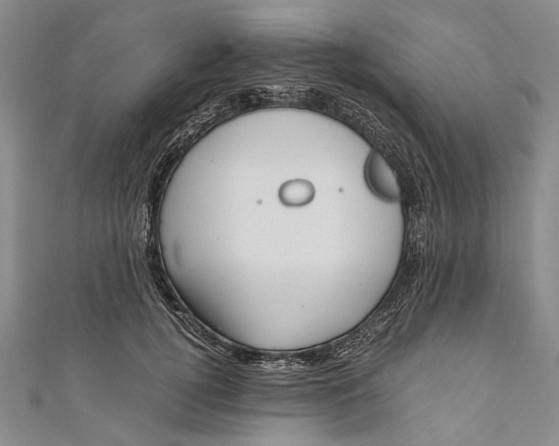 X0000110950752200907101307