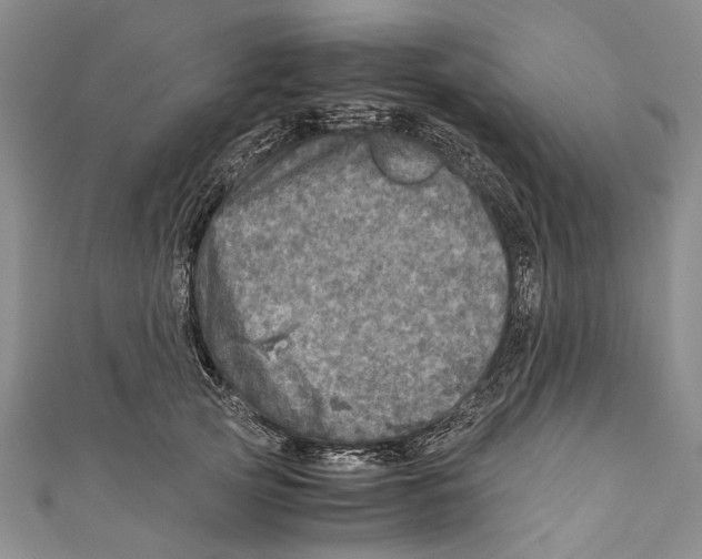 X0000110950753200907101307