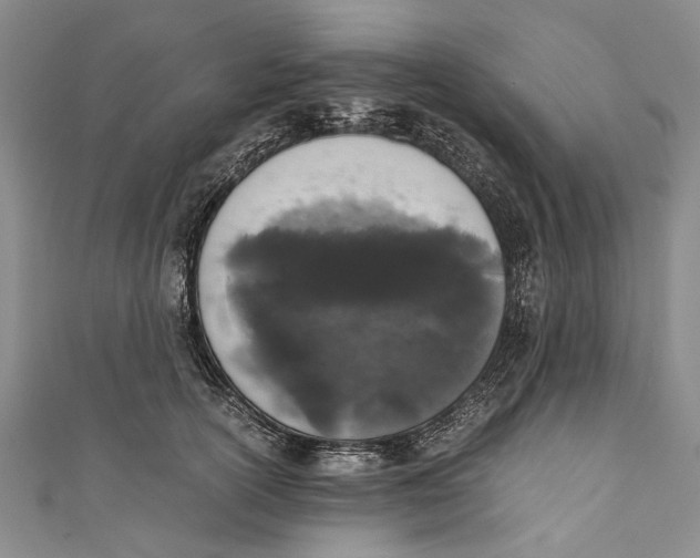 X0000110950754200907101307