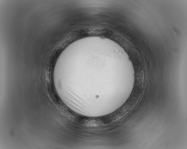 X0000110950755200907101307