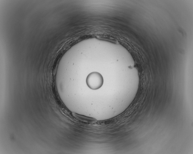 X0000110950756200907101307