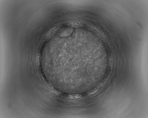 X0000110950757200907101307