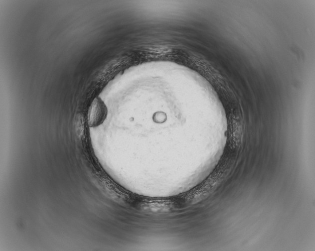 X0000110950758200907101307