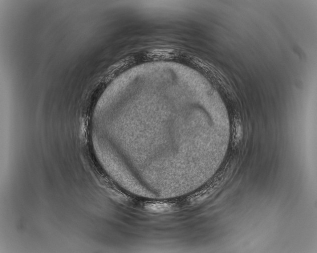 X0000110950759200907101307