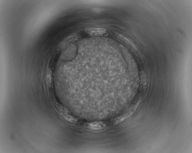 X0000110950761200907101307