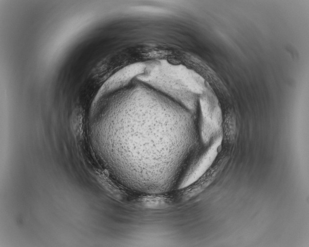 X0000110950762200907101307