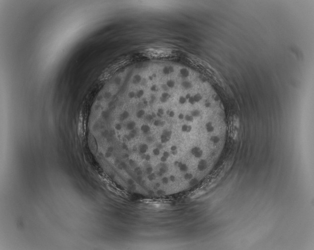 X0000110950763200907101307