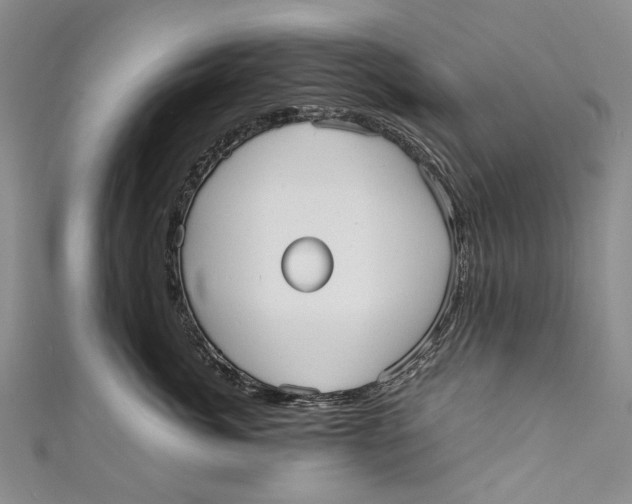 X0000110950764200907101307