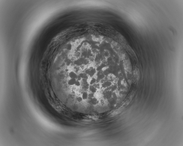 X0000110950765200907101307