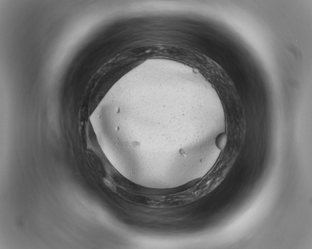 X0000110950766200907101307