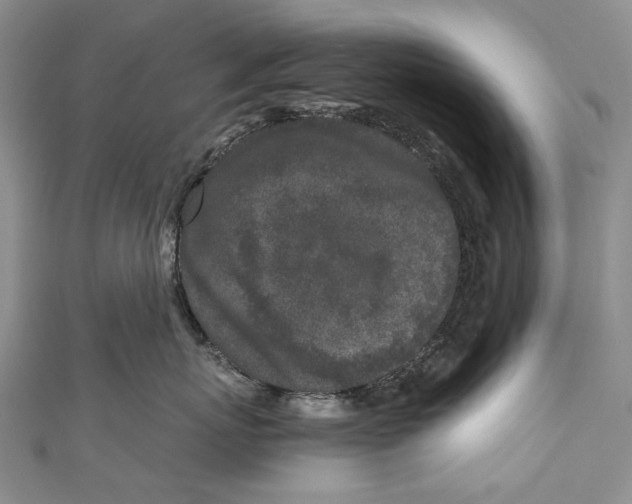 X0000110950767200907101307