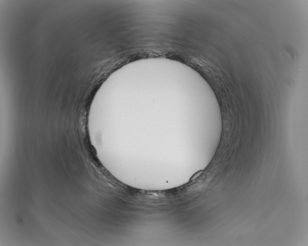 X0000110950768200907101307