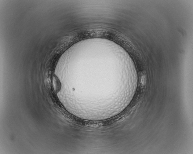 X0000110950771200907101307