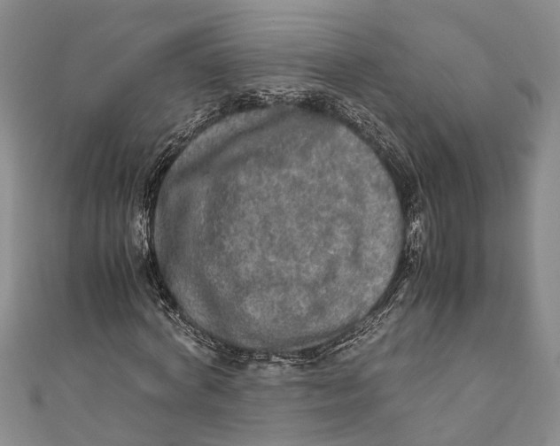 X0000110950772200907101306