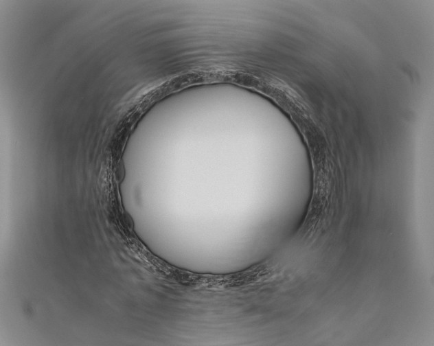 X0000110950773200907101306