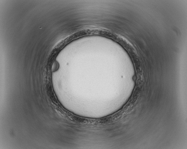 X0000110950775200907101306