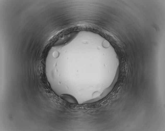 X0000110950776200907101306