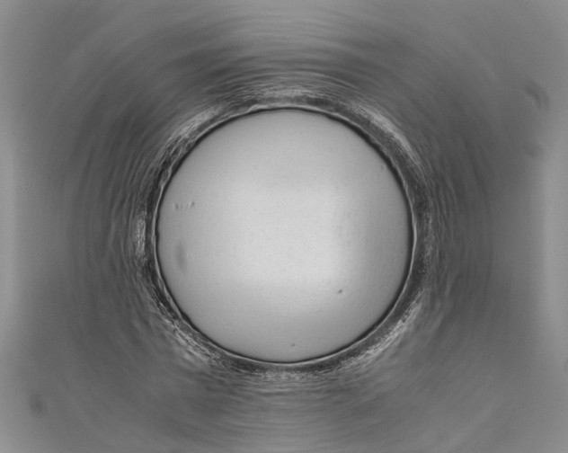 X0000110950777200907101306