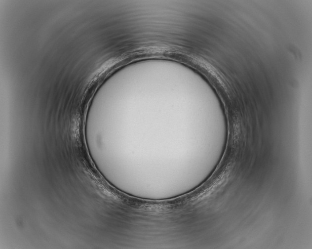 X0000110950778200907101306