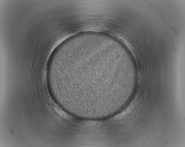 X0000110950779200907101306