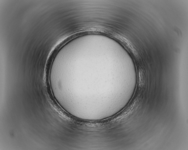 X0000110950780200907101306