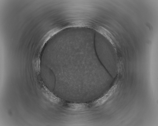 X0000110950781200907101306