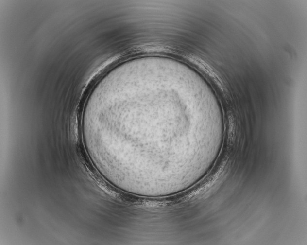 X0000110950782200907101306