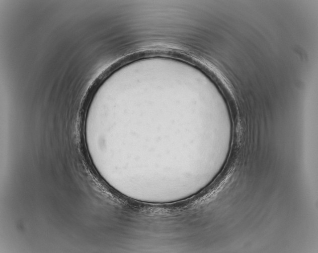 X0000110950783200907101306