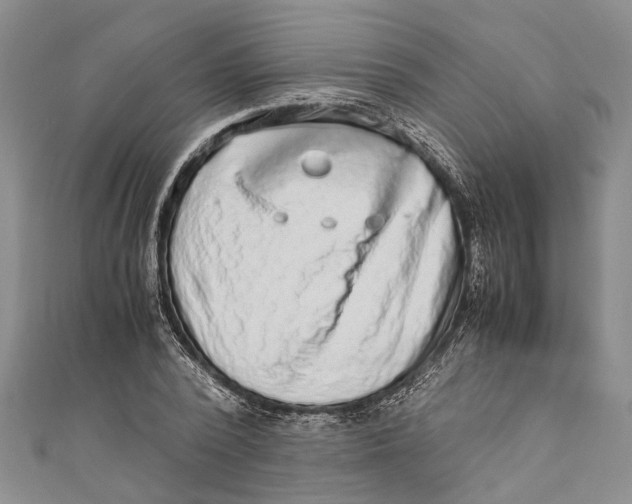 X0000110950784200907101306