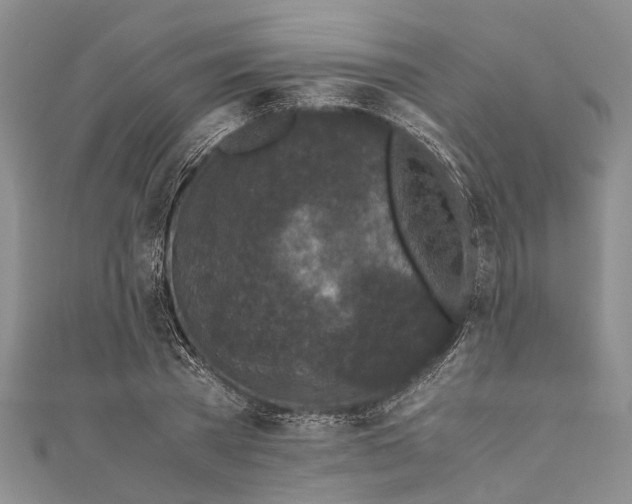 X0000110950785200907101306