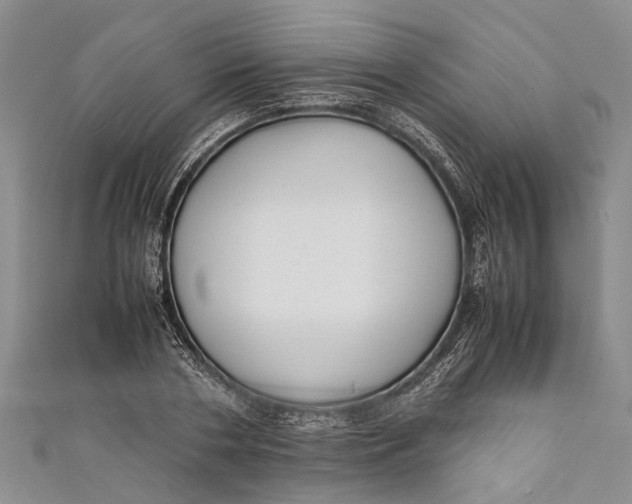 X0000110950786200907101306