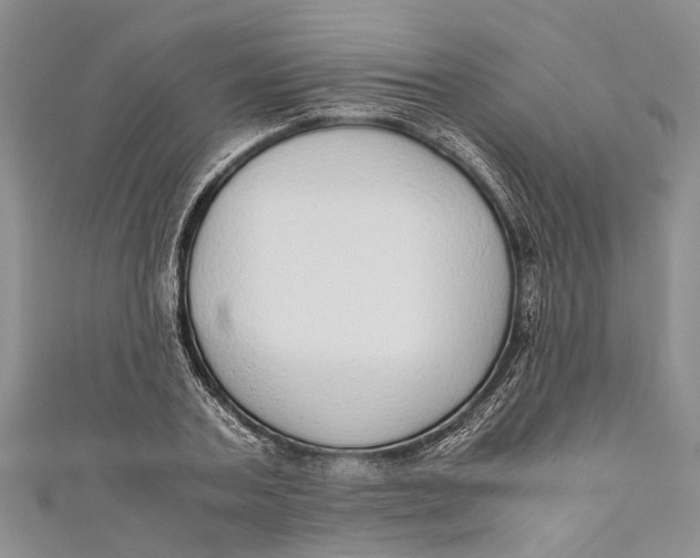 X0000110950787200907101306